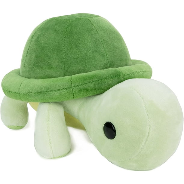 Bellzi turtle 2024