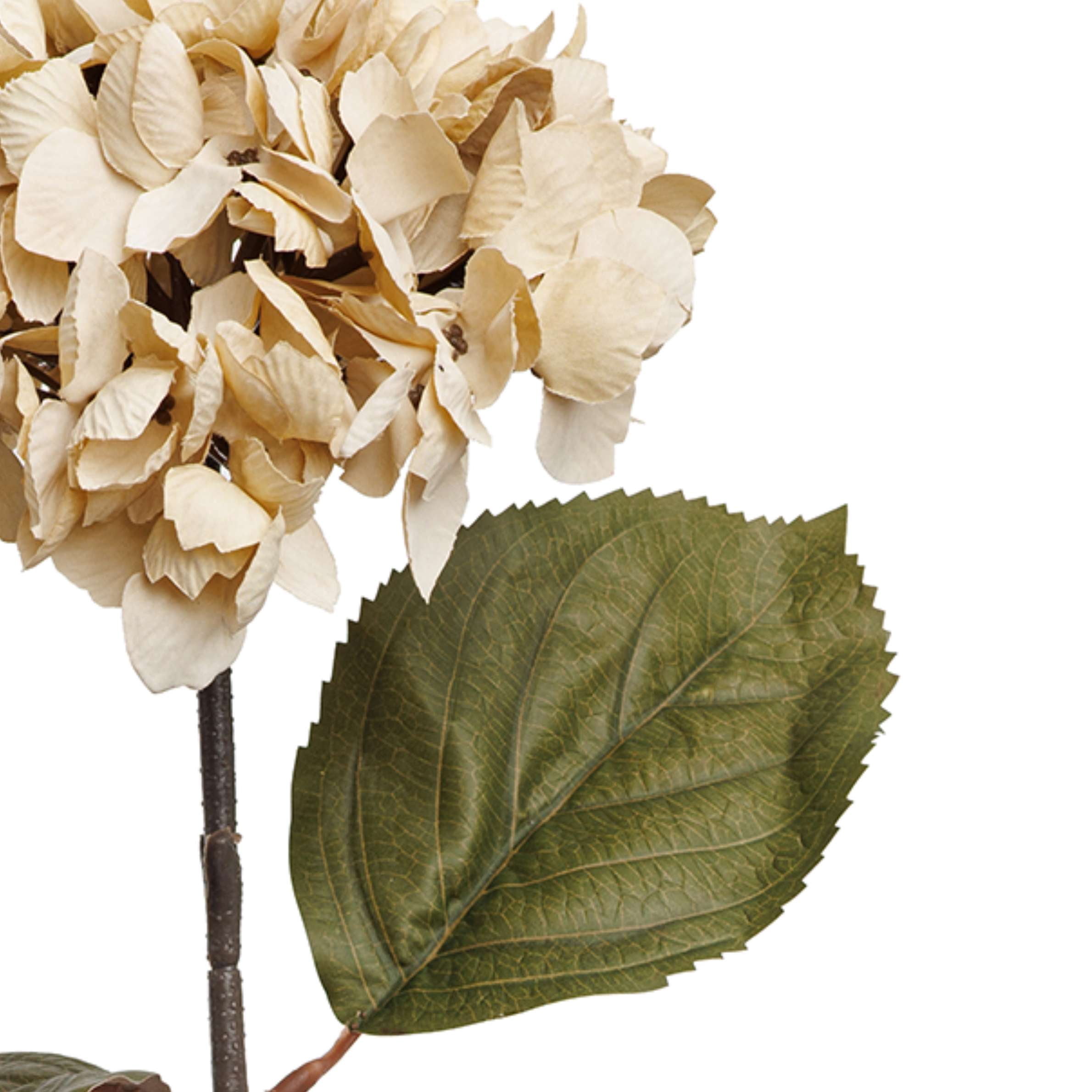 My Texas House Fall Faux Hydrangea Stem, Cream, 20"