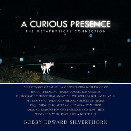 A Curious Presence (Paperback)