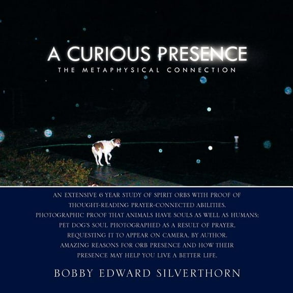A Curious Presence (Paperback)