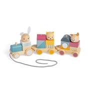 Bigjigs Toys - Activity Pull Along Train