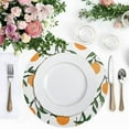 thumbnail image 4 of Ryvnso Orange Fruits Round Plate Mats Dining Table Placemat Set of 4 for Holiday Decoration, 4 of 7