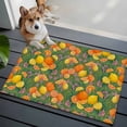 thumbnail image 4 of Orange Lemons 2'x3' Washable Rug, Summer Botanical Elegant Pastoral Watercolor Non-Slip Soft Doormat Area Rugs for Entrance Bathroom Bedsides, Carpet for Kitchen Bedroom, Entryway Floor Mat, 4 of 9