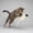 White WH, variant on AuroraX Catnip Infused Mouse Toy Interactive Cat Toys for Indoor Long Lasting Natural Calming Abrasion Proof Pet Toys for Feline Green National Dog Day International Cat Day