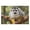 500 PCS, variant on Jigsaw Puzzle 500 Pieces for Adults, Squirrel Monkey Ecuadorian Jungle, Nature Landscape, Challenging Wildlife Game, Tropical Forest Décor, 20.5x15 Inches