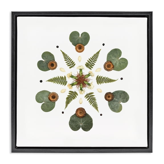 Stupell Industries Eclectic Lily Pad & Fern Mandala Black Floating Frame Canvas Art, 18 x 18, by Beth Adoette