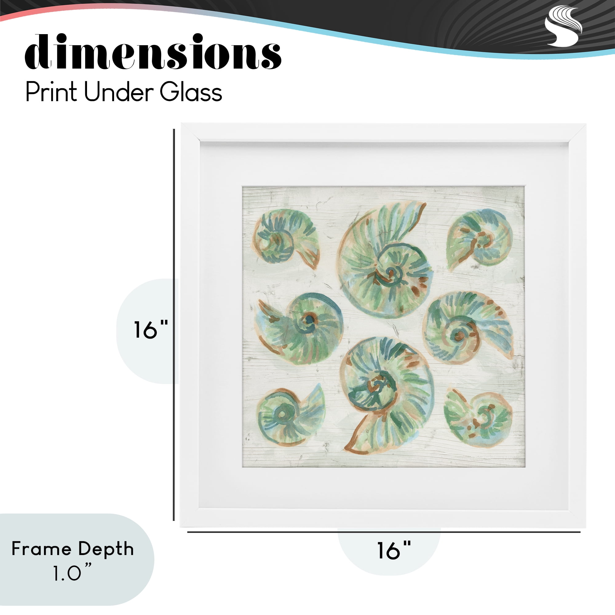 Stupell Industries Organic Saltwashed Shells White Framed Print Under Glass, design by June Erica Vess
