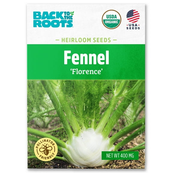 Back to the Roots Organic Fennel 'Florence', 1 Seed packet
