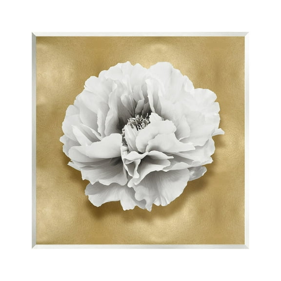 Stupell Industries White Peony on Gold Botanical & Floral Painting Unframed Art Print Wall Art, 12 x 12