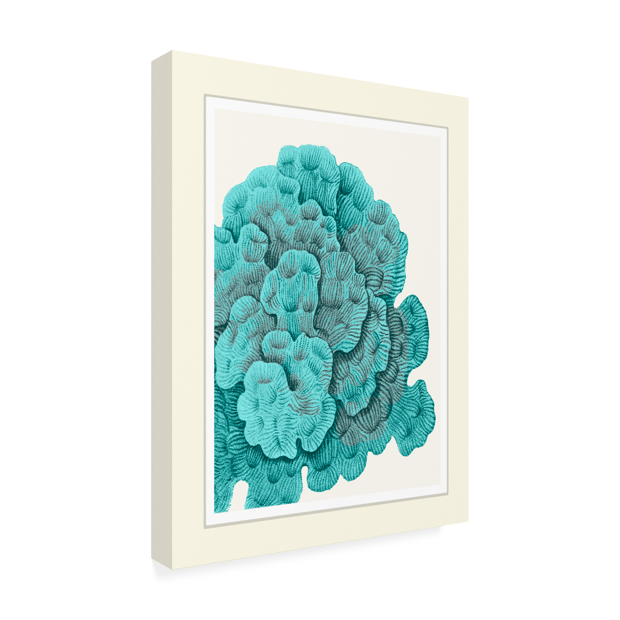 Trademark Fine Art 'Blue Underwater Scenes 1 B' Canvas Art by Fab Funky