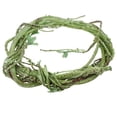 thumbnail image 3 of , , Rana, Serpiente, Trepadora, Vid, Flexible, Selva, Pnta, Terrario, Decoración Yuyangstore Reptiles Vine Jungle, 3 of 7