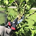 thumbnail image 5 of Pruning Shears, Garden Shears, Garden Scissors, Gardening Shears, Bypass Pruners, 5 of 5