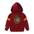 thumbnail image 3 of Harry Potter Hogwarts Full Zip Up Hoodie (Boys), Sizes 4-14, 3 of 9