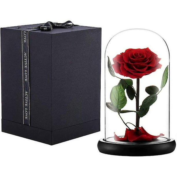 Preserved Real Rose Eternal Rose In Gl Dome Gift For Her Thanksgiving  Valentine's Day Birthday Mother's Day (red)
