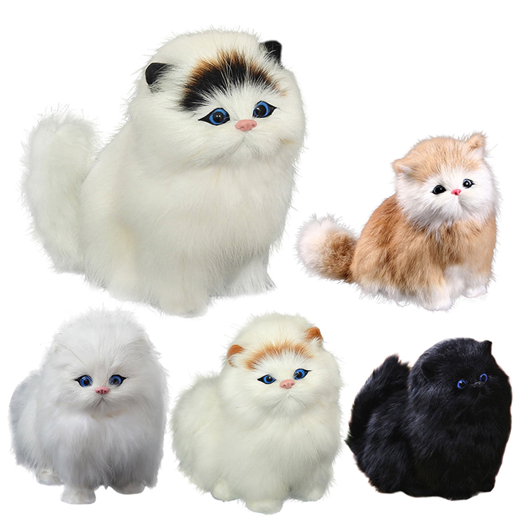 Babydoll cat outlet