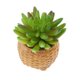 thumbnail image 2 of Adorno Hogar Artificial Perfecl plantas suculentas Plástico, 2 of 8