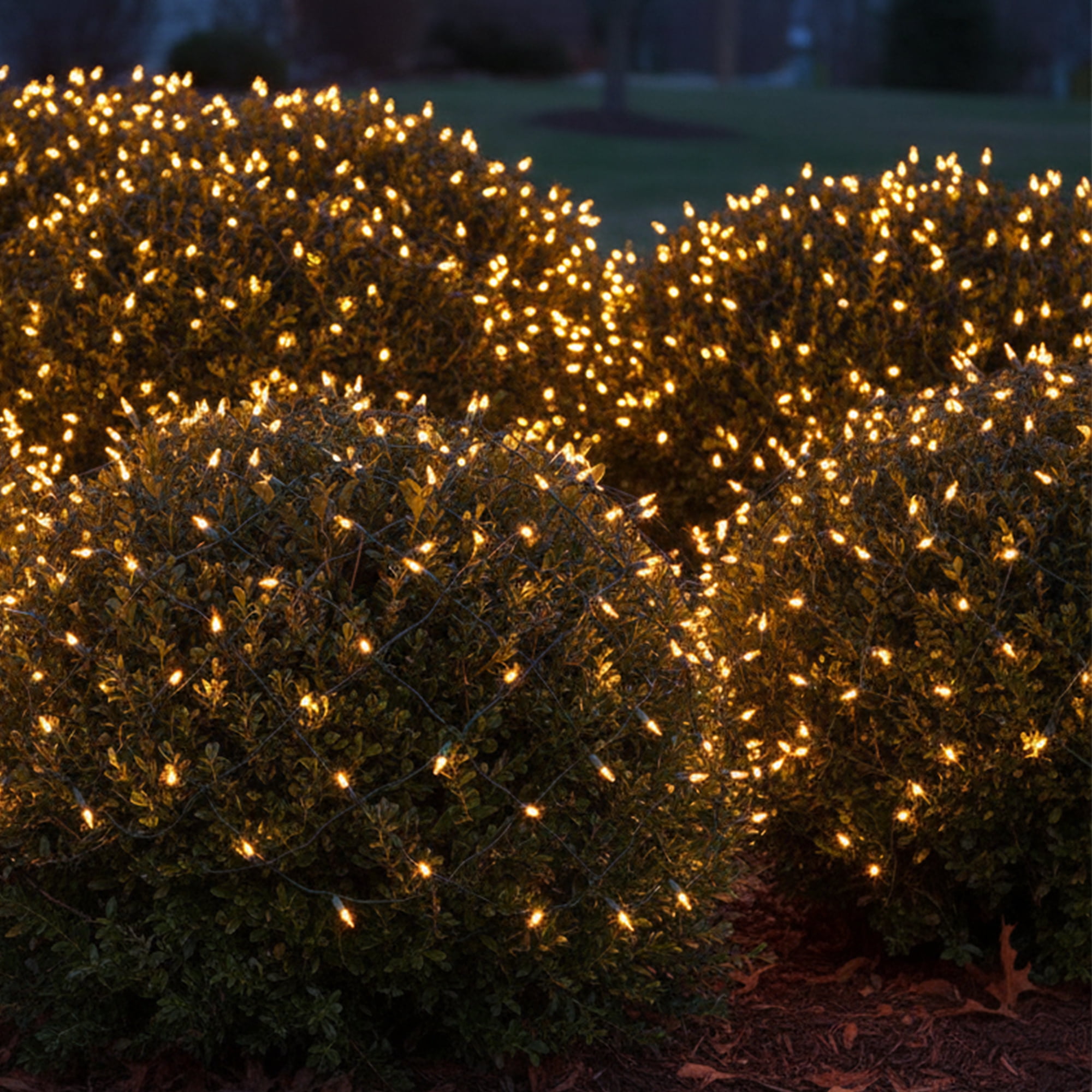 Northlight Mini Net Style Christmas Lights - 4' x 6' - Clear - Green Wire