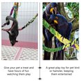 thumbnail image 2 of CIMAXIC 4pcs Hamster Adventure Toy Swing Parrot Colorful Cotton Rope Bird Climbing Toy,22.44"X0.59"X0.2", 2 of 5