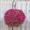 thumbnail image 3 of BEAU JARDIN 5Pack Garden Shepherd Hooks 48 inch Heavy Duty Outdoor Bird Feeder Pole Shepards Hanging Plants Basket Hanger Stand 2/5 inch thich Solar Light Lantern Wind Chimes Wedding Decor Black, 3 of 11
