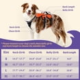 thumbnail image 4 of Pigo Escape Proof Dog Harness, Soft Padded Full Body Pet Harness, Reflective Adjustable No Pull Vest with Lift Handle and Lesh Clip for Large Dogs Walking Hiking Training, Orange, 4 of 11