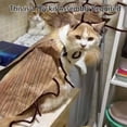 thumbnail image 2 of Cat Cockroach Clothing DIY Kit, Funny Cockroach Kitten Pet Cape Craft Set, Kitten Costume Accessories with Wings and Antenna, Cosplay Halloween Party Decoration for Cats and Small Dog(1Pc), 2 of 7