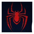 thumbnail image 3 of Playera Spiderman para Hombre, Cuello Redondo Manga Corta Estampado Araña Rojo con Negro Talla 14, 3 of 3