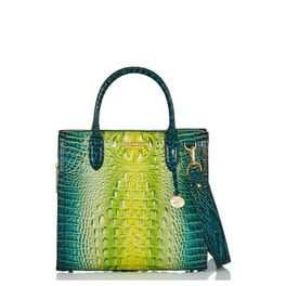 Brahmin watermelon ombre hotsell