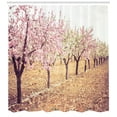 thumbnail image 3 of Ambesonne Almond Blossom Shower Curtain, Pastel Idyllic Motif, 69"Wx70"L, Multicolor, 3 of 3