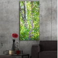 thumbnail image 5 of Epic Art 'Hide And Seek' by Mandy Budan, Acrylic Glass Wall Art, 24"x48", 5 of 8