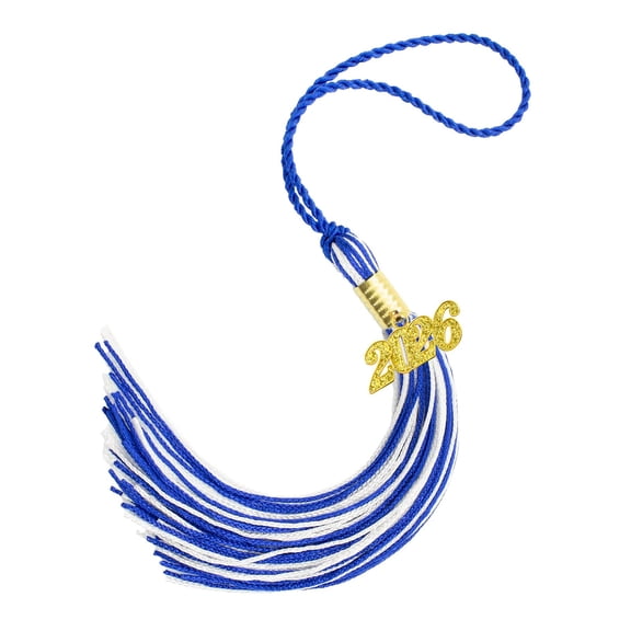 Ruanlalo 2026 Graduation Tassel 16" Graduation Cap Tassel 2026 Year Tassel Charm Pendants for Party Ceremonies Accessories