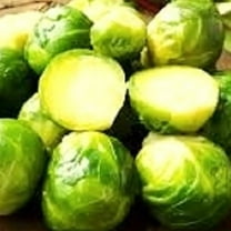 250 Long Island Brussels Sprouts Seeds | NON-GMO | Fresh Heirloom Garden Seeds