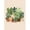 SKU-03, variante sur Affiche de Rempotage de Plantes Jardin Familial Rempotage Style Mignon Peinture sur Toile Art Mural pour Décoration Intérieure Esthétique Moderne Salon 50 x 70 cm (Sans Cadre), SKU-03