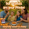 thumbnail image 5 of Dried Peaches by It's Delish, 36 OZ Jumbo Reusable Container  Naturally Sweet Peach Slices, No Sugar Added, Bulk Dried Fruit Healthy Snacks Fresh and Dry Sliced Peaches Snack  Vegan, Kosher, 5 of 7