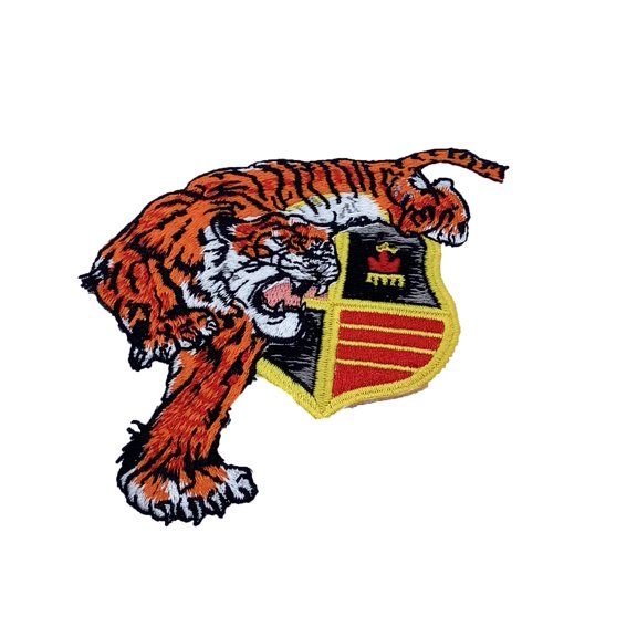 VMFA (AW)-224 Fighting Bengals Patch Plastic Backing