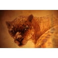 thumbnail image 2 of Lund, Denton 14x11 Gold Ornate Wood Framed with Double Matting Museum Art Print Titled - The Leopard, 2 of 4