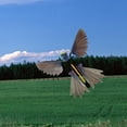 thumbnail image 4 of Milaget Vol Oiseau Jouet Partie Faveur Signet Colibri Vol Jeu Bande de Caoutchouc Alimenté, 4 of 9