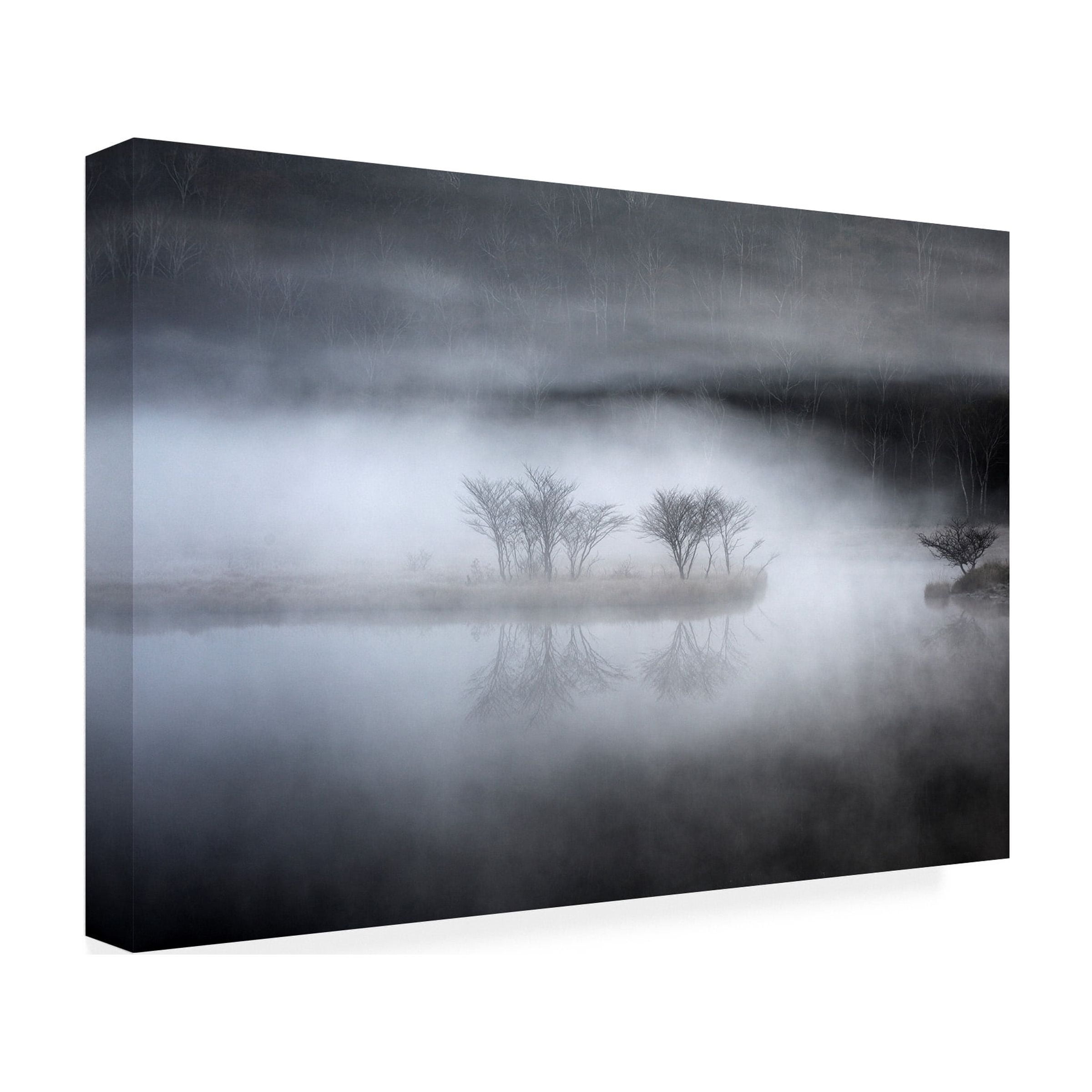 Teruo Araya 'Mysterious Pond' Canvas Art