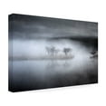 thumbnail image 4 of Teruo Araya 'Mysterious Pond' Canvas Art, 4 of 4