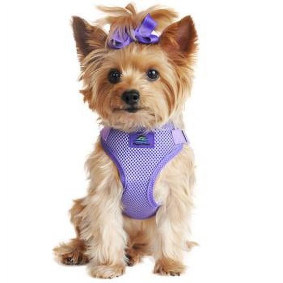 Doggie Design ARH-WS-PP-LG Wrap & Snap Choke Free Dog Harness, Paisley Purple - Large