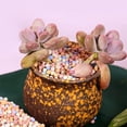 thumbnail image 4 of NOGIS Natural Organic Colorful Leca Balls 0.77lb for Plants, 3mm-4mm Ceramsite Clay Pebbles Indoor Potting Garden Soil for Orchid, Succulents, Hydroponics, Decoration, Drainage, 4 of 7