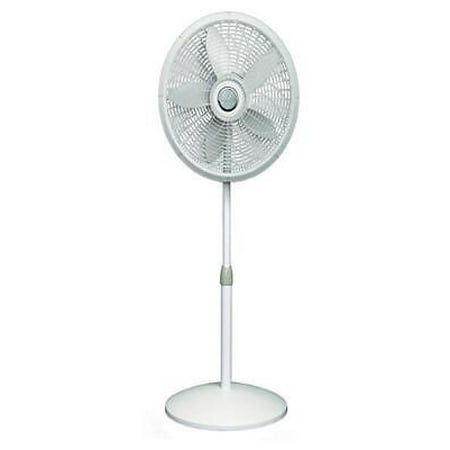 Lasko Elegance & Performance 54-1/2 in. H X 18 in. D 3 speed Oscillating Pedestal Fan