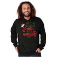 thumbnail image 4 of The Reason Santa Has A Naughty List Hoodie Sweatshirt Women Men Brisco Brands S, 4 of 6