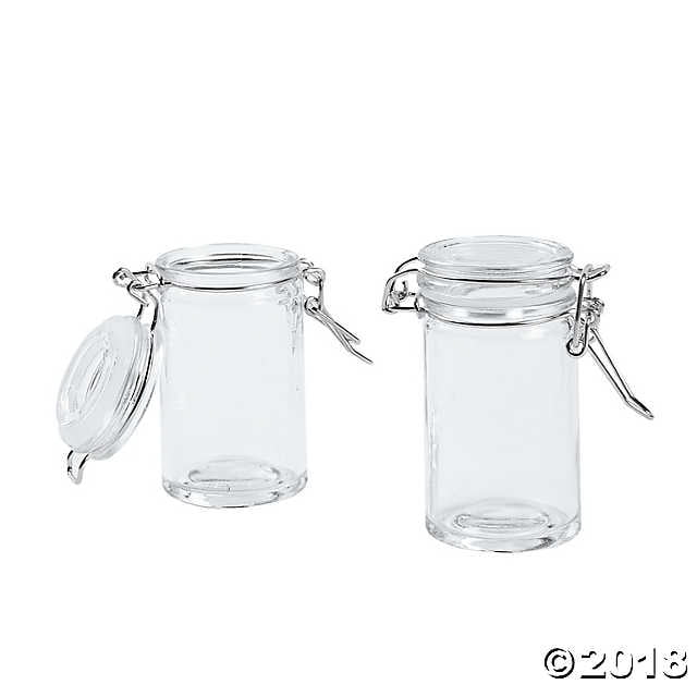 Snap Lid Bottle Favor Jars