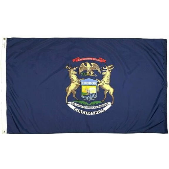 State of MICHIGAN BIG Flag 3x5FT Polyester Banner MI Dorm Man Cave DecoR 100D