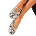 thumbnail image 5 of Willtoo Mesh Embroidered Flats for Women Flower Mary Jane Flats Ballet Shoes Round Toe Slip On Ballerina Floral Shoes, 5 of 6