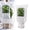 White in, variant on Winter Plant Covers Freeze Protection, Frost Protection Plant Cover with Viewing Window and Zippers, Outdoor Plant Cold Protection Cover