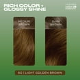 thumbnail image 3 of Clairol Natural Instincts Demi-Permanent Hair Color Creme, 6G Light Golden Brown, Hair Dye, 1 Application, 3 of 13