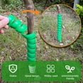 thumbnail image 3 of MODANU 2 Pcs Tree Trunk Protector 2 Size Plastic Spiral Tree Guard Plastic Tree Guards Corrugated Tree Tubes Tree Wraps to Protect Saplings Plants from Animals Mowers Trimmers, Green, 3 of 7
