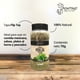 thumbnail image 2 of Perejil Pontino 70 g, 2 of 5
