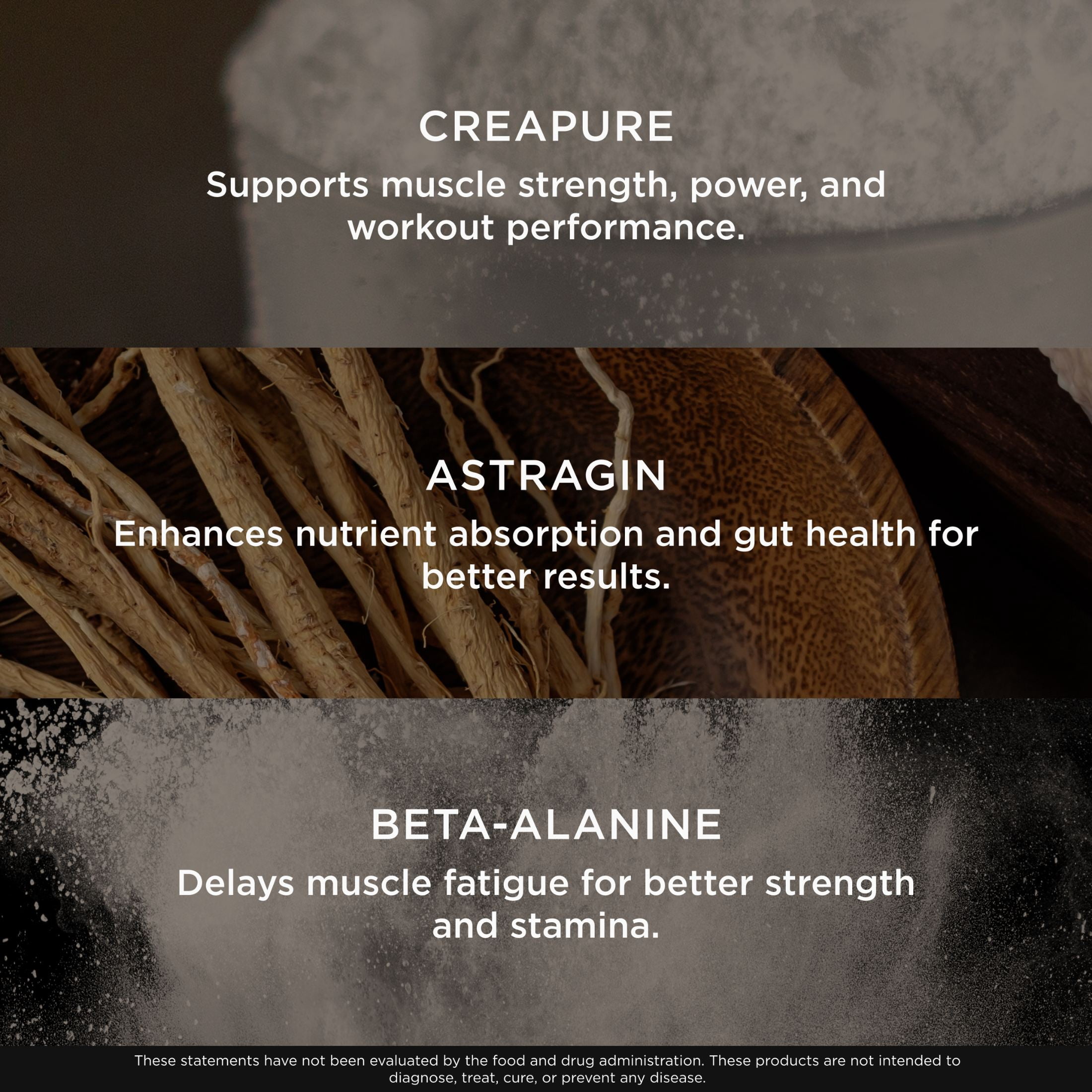 The Genius Brand Genius Creatine - Ultra pure Creatine Monohydrate plus Nootropics including Beta Alanine and Astragin for improved absorption, strength, and performance - Unflavored - 25 servings